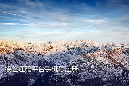 完美手机接码软件下载