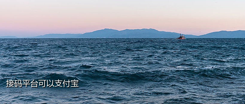 大陆接码短信平台