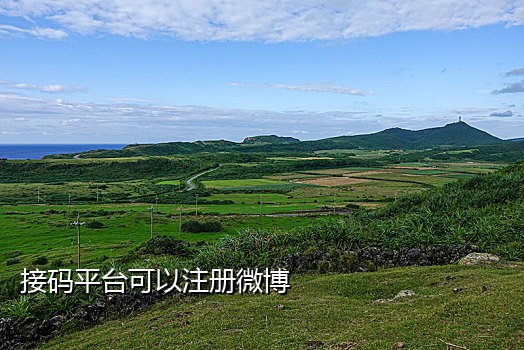 绑定手机号接码平台