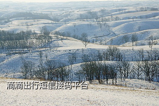 爱奇艺会员注册接码