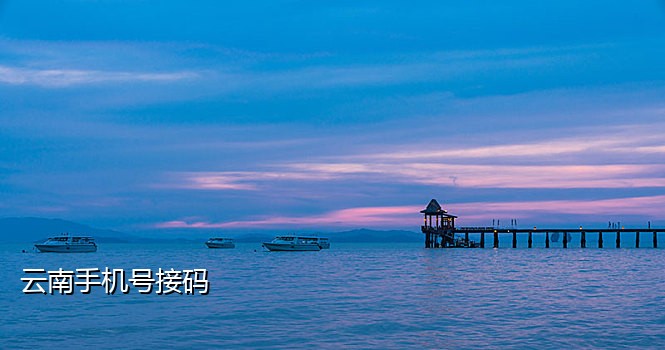 qq号注册机自动接码