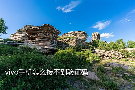 ivvi手机接不到验证码怎么办