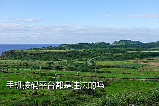 专属陌陌接码平台