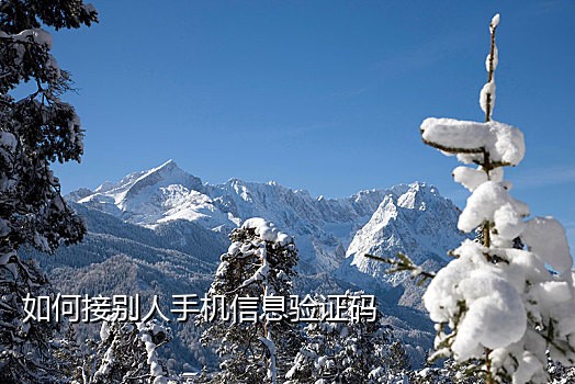 注册微信接不到手机验证码