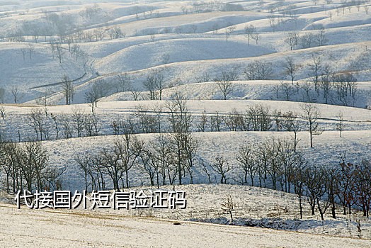 中国短信接码器
