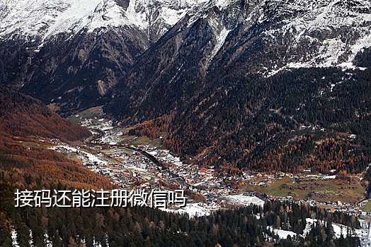 虚拟号码接短信验证码错误