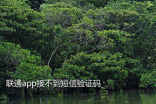 新手机接不到语音验证码