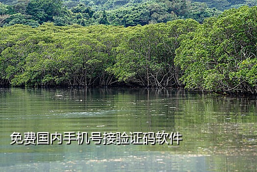 闲鱼充值电话接码怎么弄