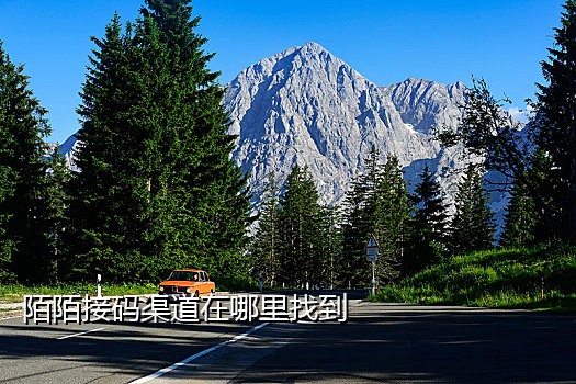 网上卖接码手机号