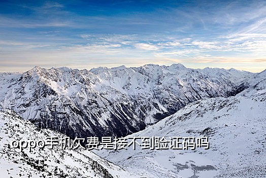 探探接码的单子有风险吗