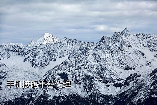 输入手机号接码