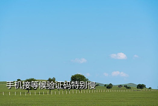 手机在线接码平台