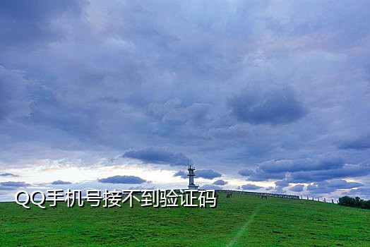 手机用什么软件接码
