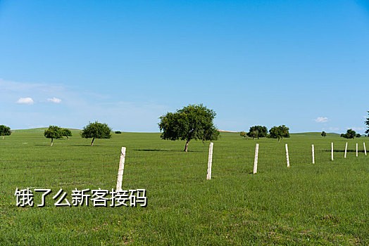 淘特接码拉新推广服务商