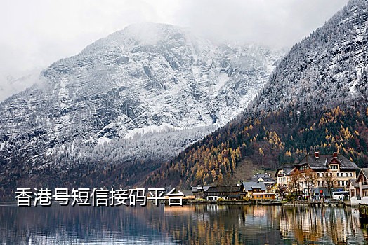 手机接码平台是什么意思