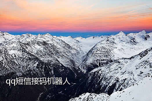 手机接码平吧