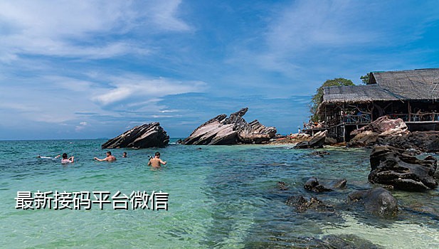 手机接码可以指定号码吗