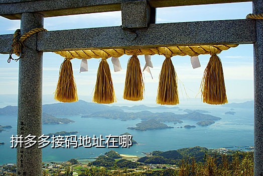 手机接码开通怎么设置
