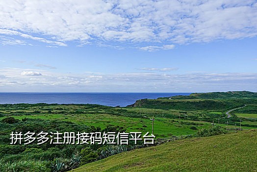 淘宝业务接码卡商