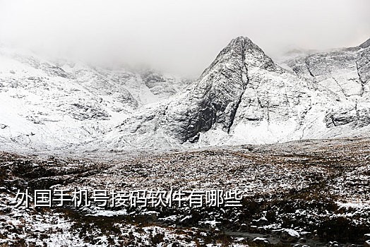 手机号码接码平台是什么