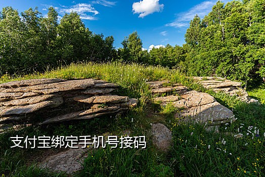 淘宝新用户接码