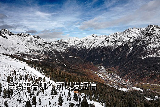 手机号接不到qq验证码