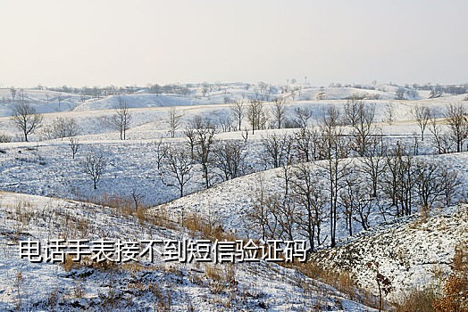 手机号不见了怎么接验证码