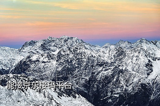 手机代接验证码平台有哪些