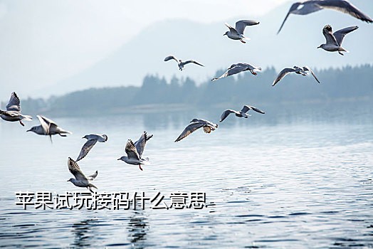 实卡接码抖音注册全新