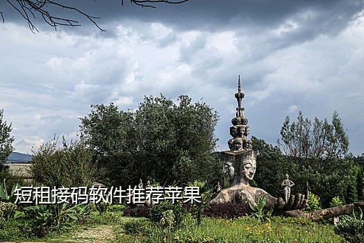 神话接码怎么接收短信