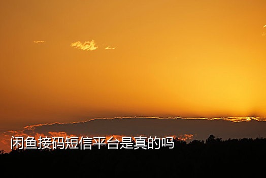 苹果接码app下载安装教程