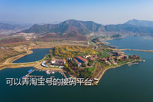 能接百度账号的接码平台