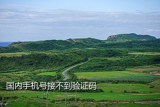 陌生手机号接验证码的软件