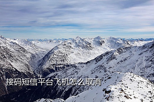 临时手机号接码平台