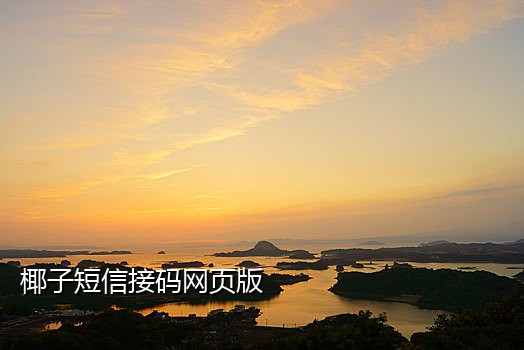 淘宝接国外验证码