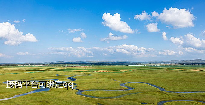 雷霆接码短信平台