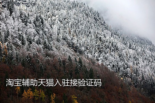 可以接验证码的手机