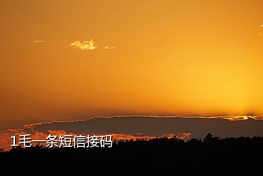 可以接阿里钉钉的接码平台