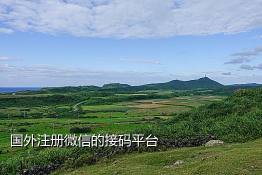 可以回复短信的接码