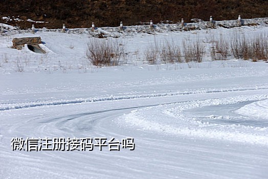 可可抖音接码平台
