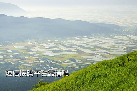 今日头条接码