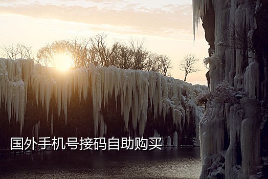 接码注册美团账号