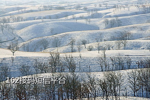 接码怎么刷饿了么