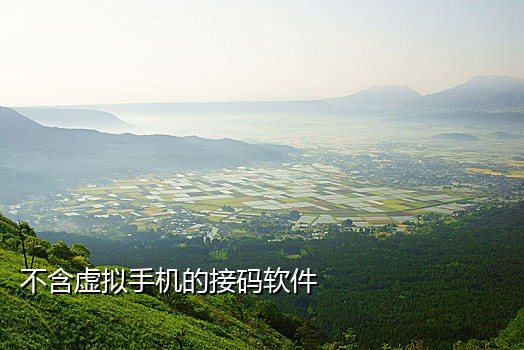 接码软件app手机软件