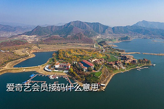 接码平台手机号怎么拿