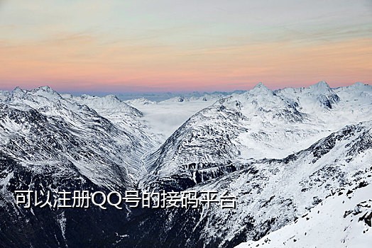 速码接码能接淘宝的么