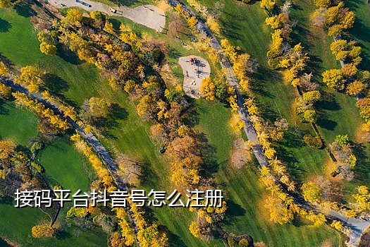 接码平台发短信失败