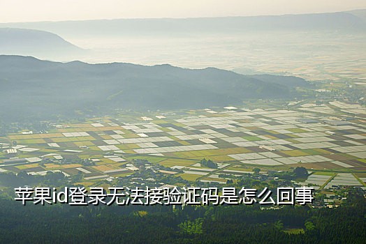 接码平台的手机怎么不能注册q