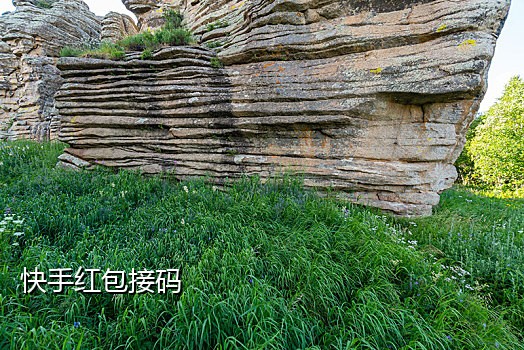 手机自动接码app