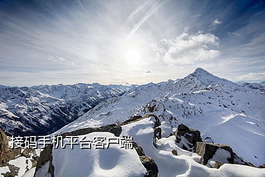 手机账号绑定接码